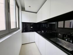 White House Residences (D10), Condominium #557109541